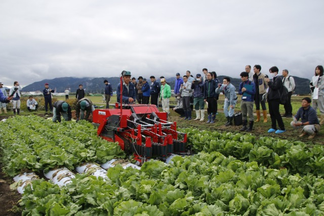 デリカのレタス収穫機２畝同時カット作業 長野野菜花き試験場で